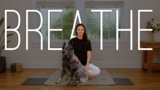 5 Minute Calming Breathwork | Yoga With Adriene